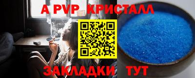 дмт Кингисепп