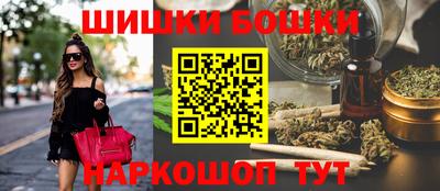 дмт Кингисепп