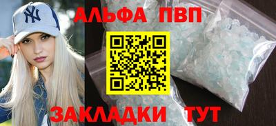 дмт Кингисепп