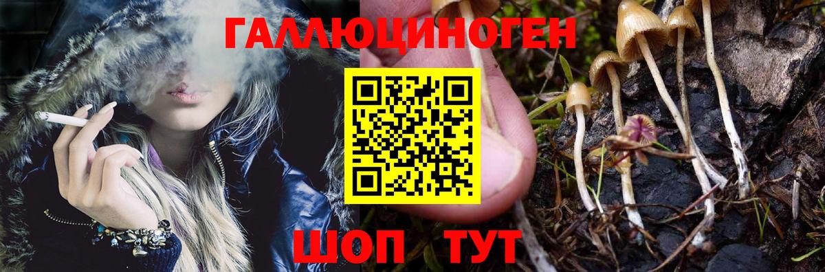 Касимов  Псилоцибиновые грибы GOLDEN TEACHER  Вход с VPN 
